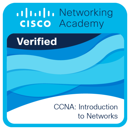Introduction to Networks