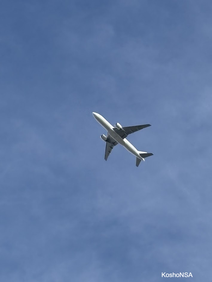 Spotting Image