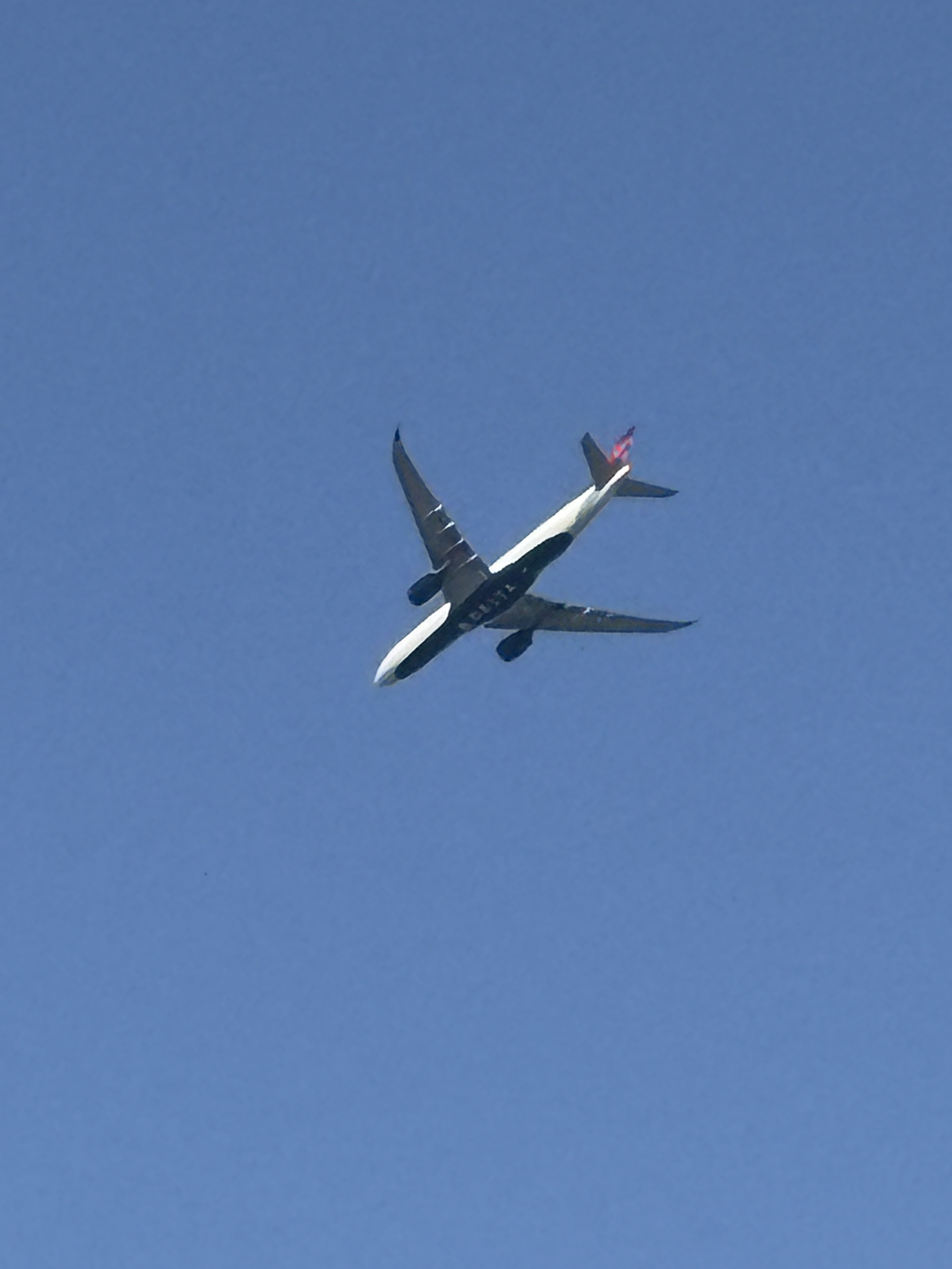 Spotting A339