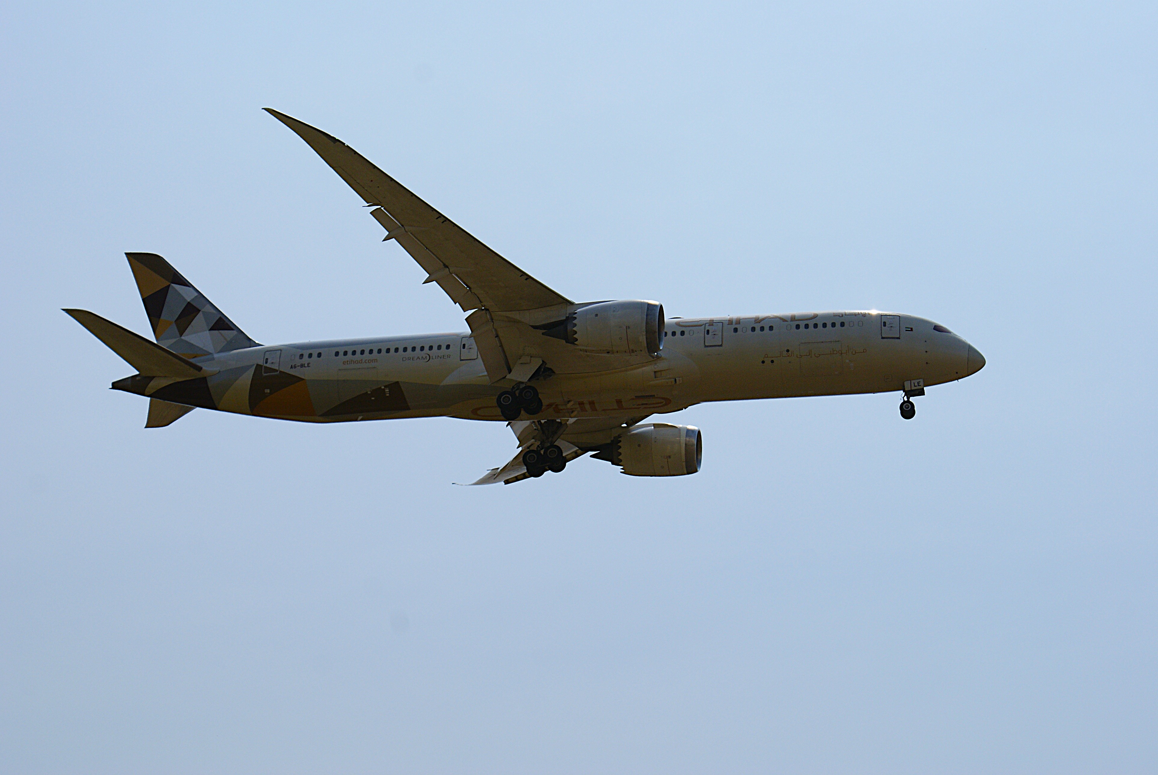 Spotting B789 - Dreamliner